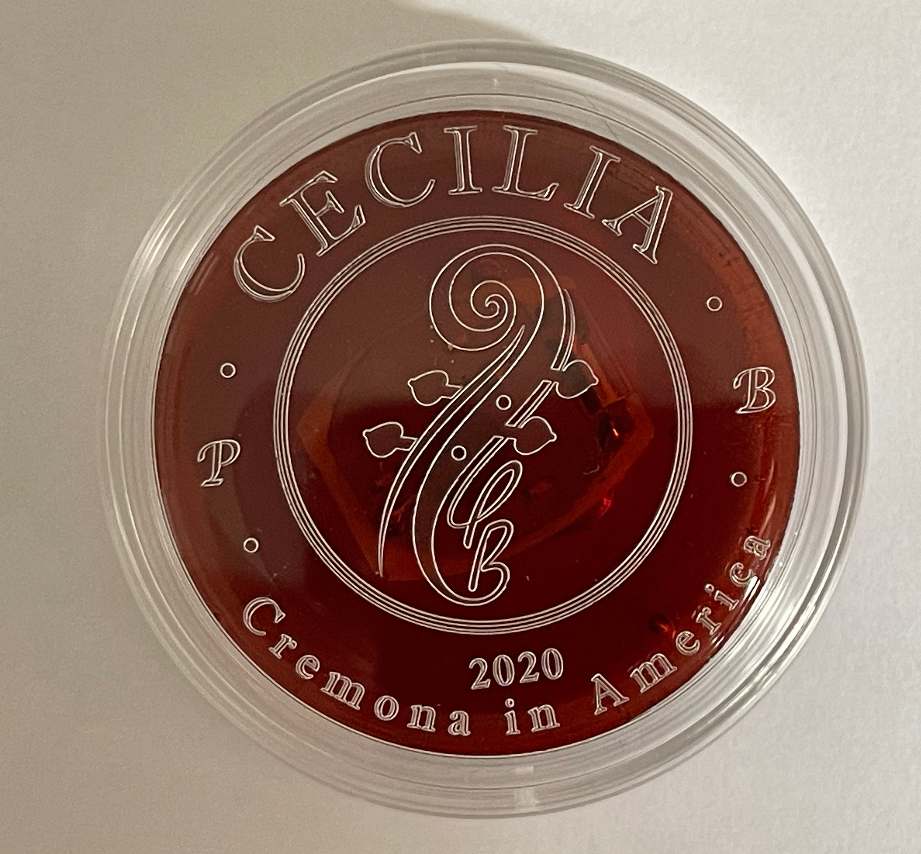 CECILIA Stellare For Young Students