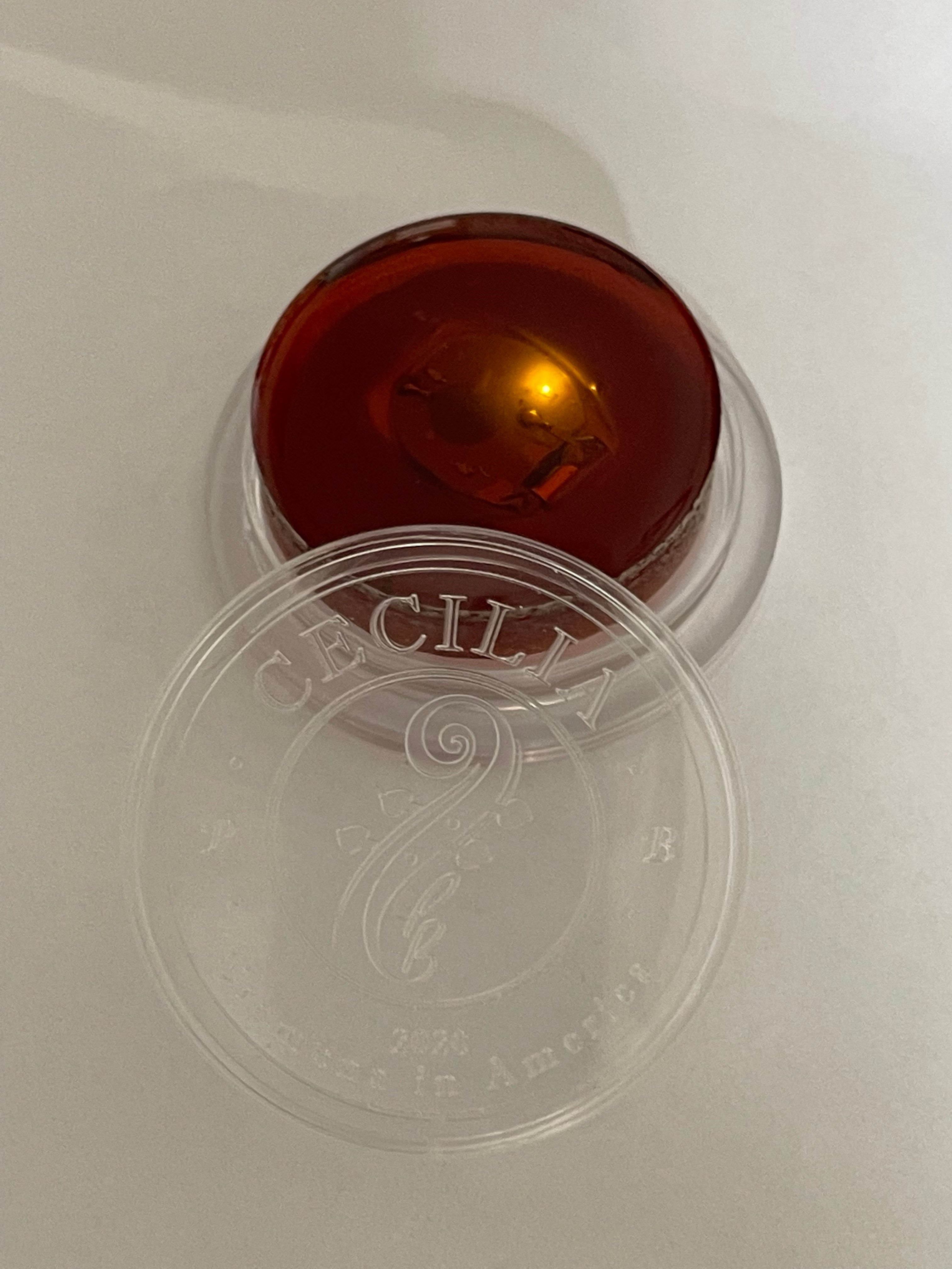 CECILIA Stellare For Young Students