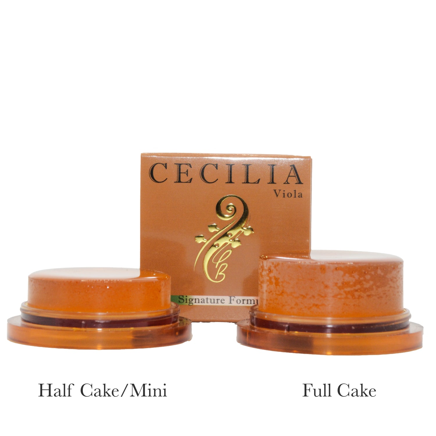 訳あり福袋 送料無料 セール わけあり 福袋 レディ CECILIA Signature Viola Formula 弦楽器